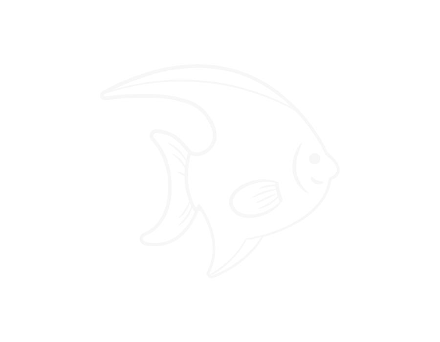 66.png